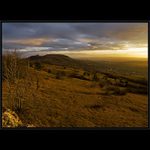 ...zlatý příliv...