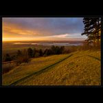 ...zlatý příliv II...