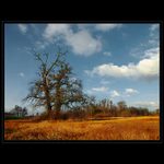 ...Filemon a Baukis...