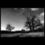 ...dítě na útěku...