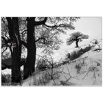 ...král u cesty stál...