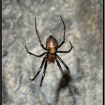 jen si tak podřimuju a čekám na jaro