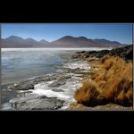 /// Ráno u laguny ///