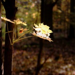 ...jen trochu slunce, prosím...