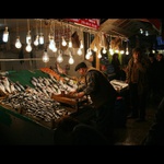 Istanbul - trh s rybami