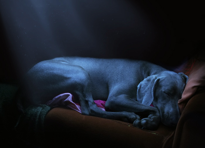 about.a.snooze.zzz...zzz...zzz...