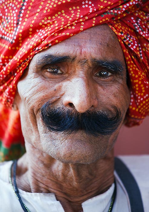 Palácový strážce