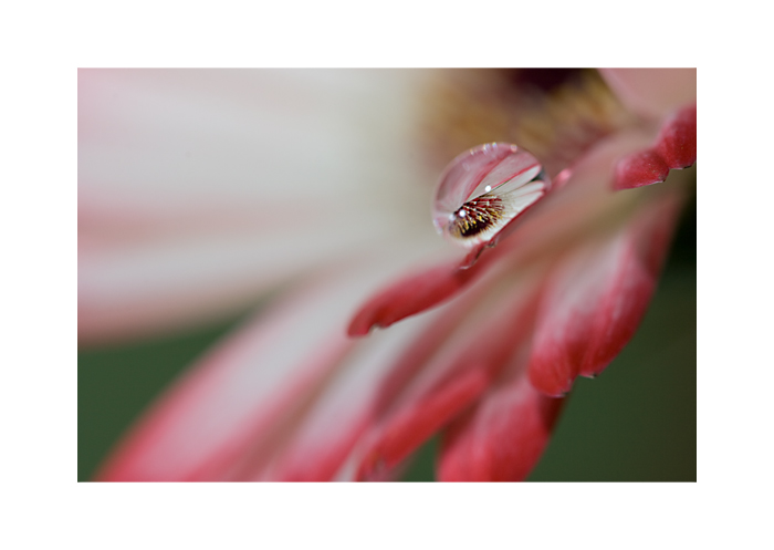 Through the magnifying eye II.