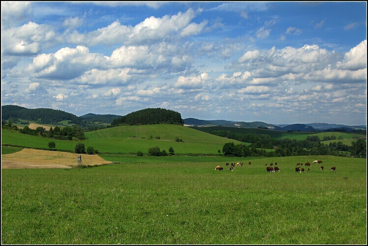 Šumavská pastvina