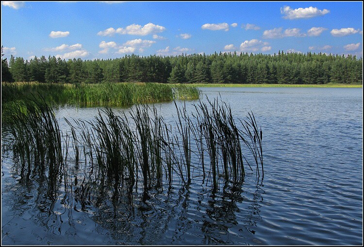 Jihočeský