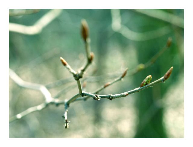 natura