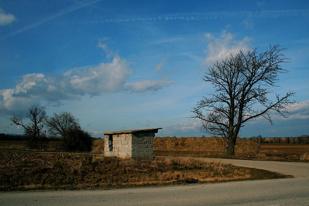 Obecná zástavka