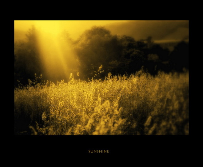 Sunshine