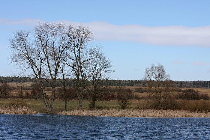 Větrná