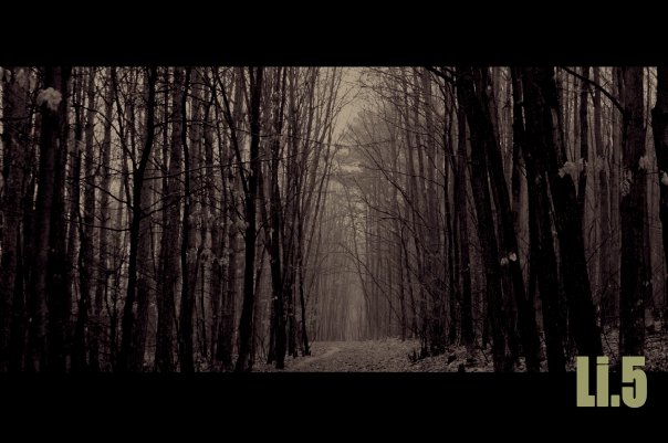 deep forest