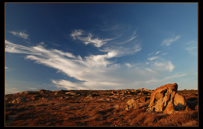 Corse