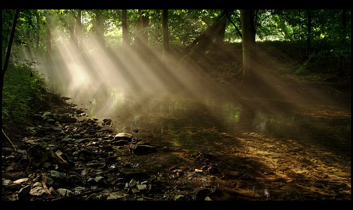 Na Punkevním království