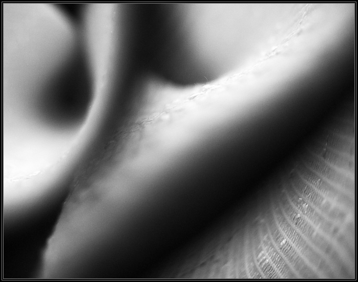 Pirueta