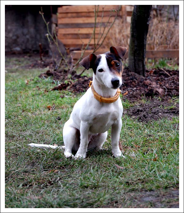 Hlidac