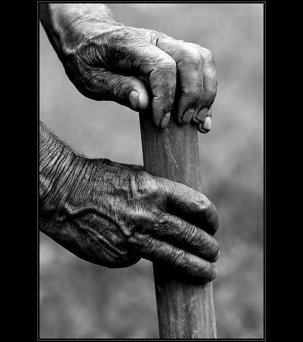 Old man´s hands