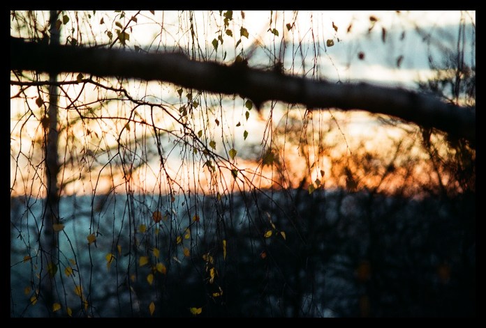 ....minolta colors....