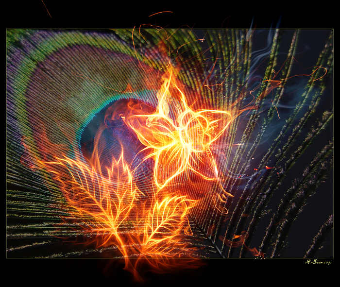 ... Fire ...