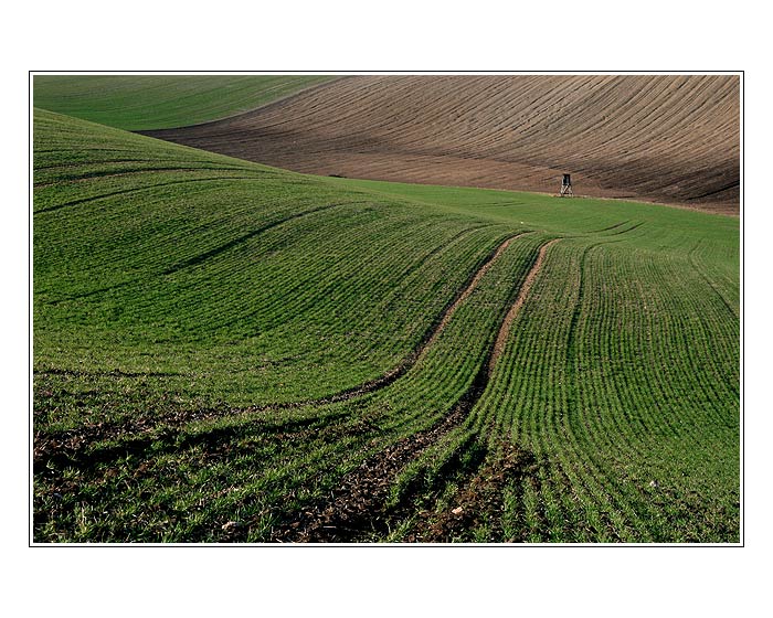 Moravská pole