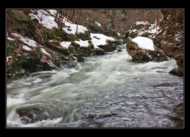 Kamenice
