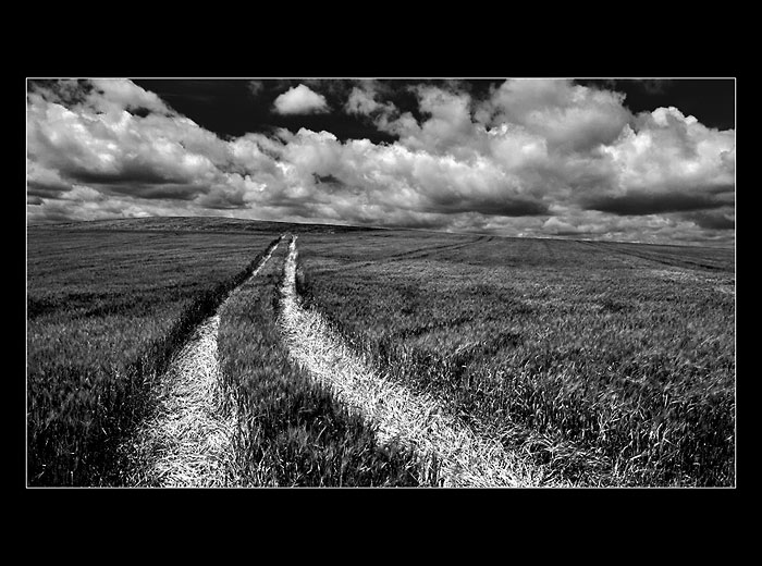 ... o cestách mírně nejistých ...