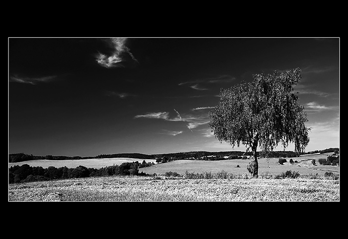 Setkání s paní Břízou