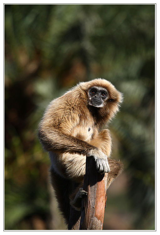 ... hop a je tu lidoop ...