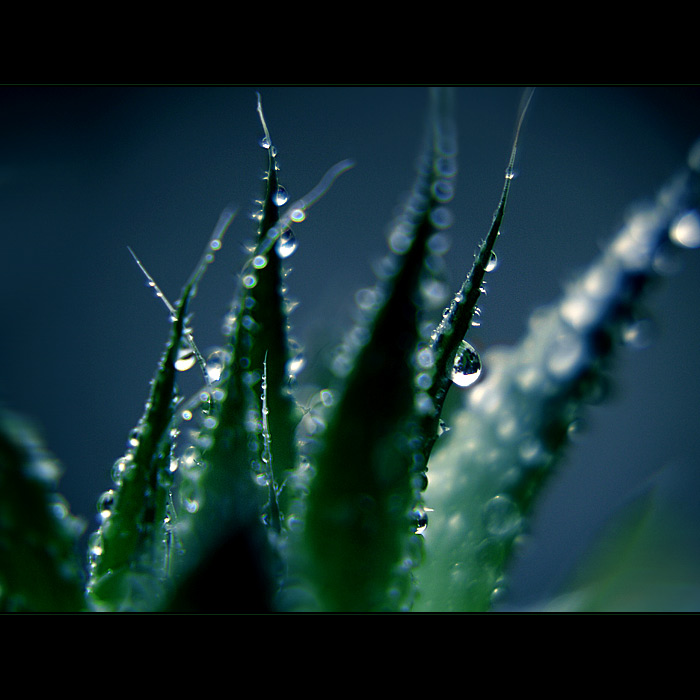 ***TANEC MEZI KAPKAMI DEŠTĚ II.***