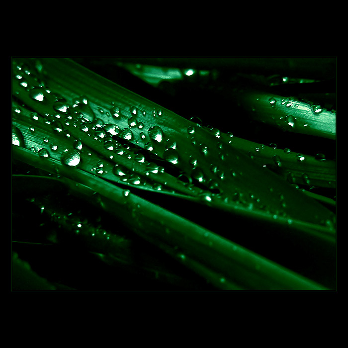 ***ZAČÍNÁ UPLAKANÝ DEN***