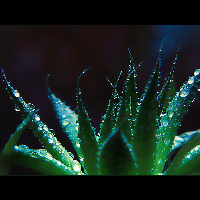 ***TANEC MEZI KAPKAMI DEŠTĚ III.***