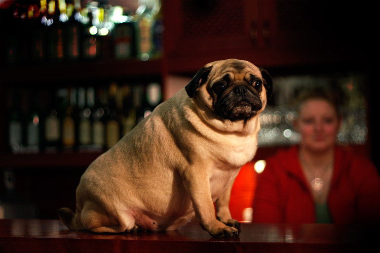 v pátek jsem vždycky děsně ztahanej