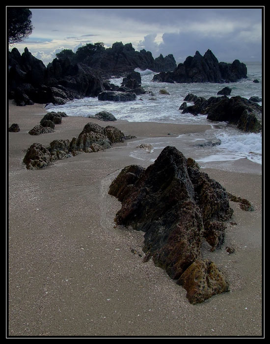 Tauranga reef