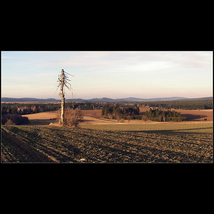Samotář IV