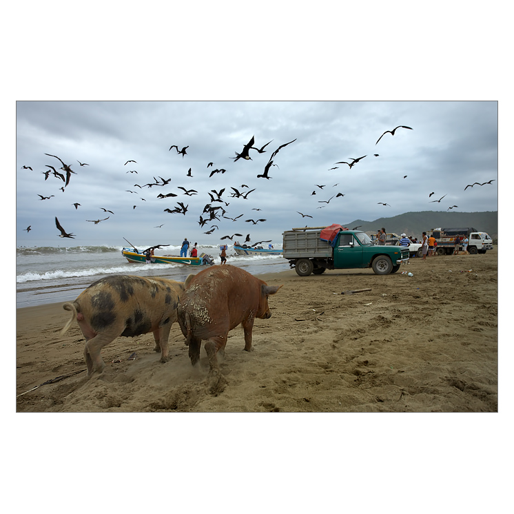 Pojď rybáři přijeli