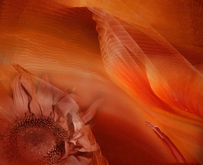 snění o žhavém létě...