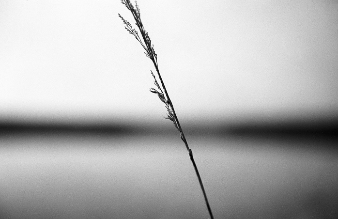 horizont č.12
