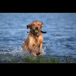 Plavecká sezona začíná!