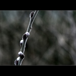 Jarní příjemnosti