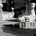 Surrealismus v fotografii