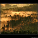 Ráno v Prachovkách