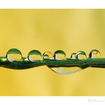 ...Pekne vedľa seba...