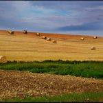 Pole, louky, lán...........