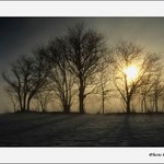 Šumavské první březnové ráno