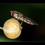  tak to je celé moje!