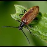  ta chvíle před pádem