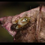  podzimní zastavení